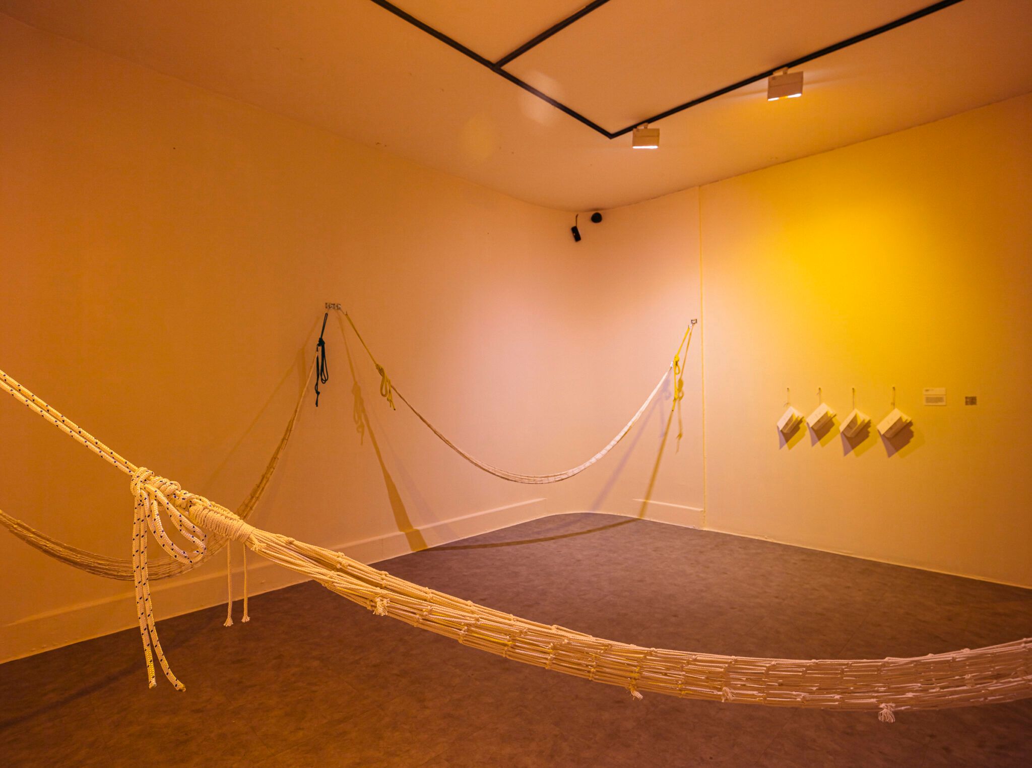 Vaciar la categoría