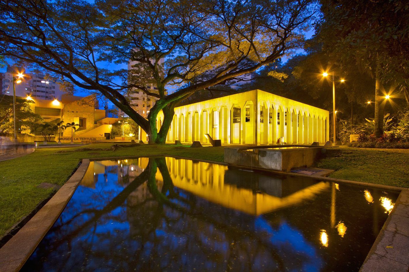 Cali, Between Trauma And Hope