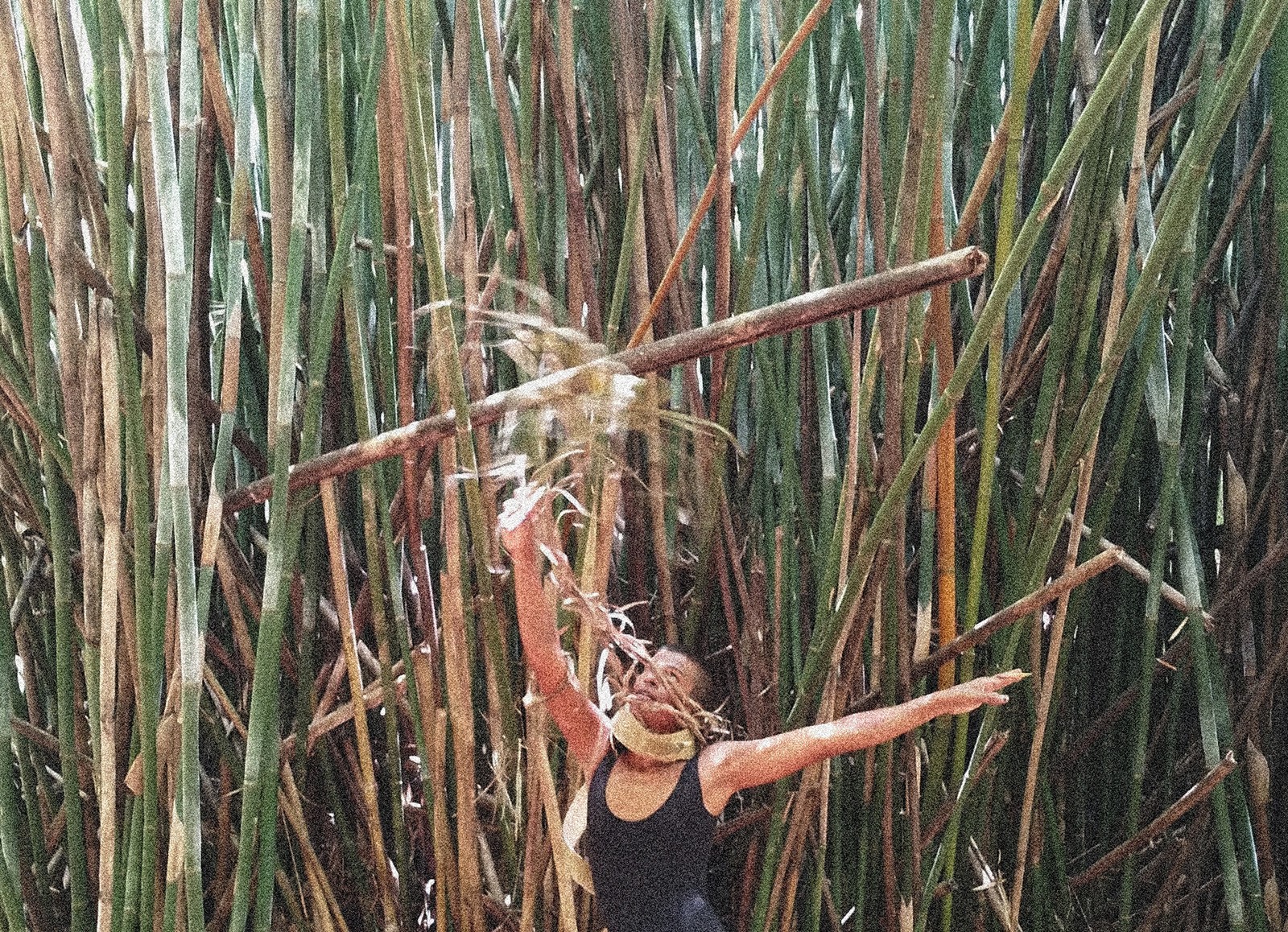 What do Abya Yala and Pindorama mean?