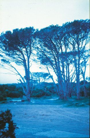 Ocean View, Cape Town, South Africa, 1986. Photo: Hans Blum. Courtesy of the Weltkulturen Museum