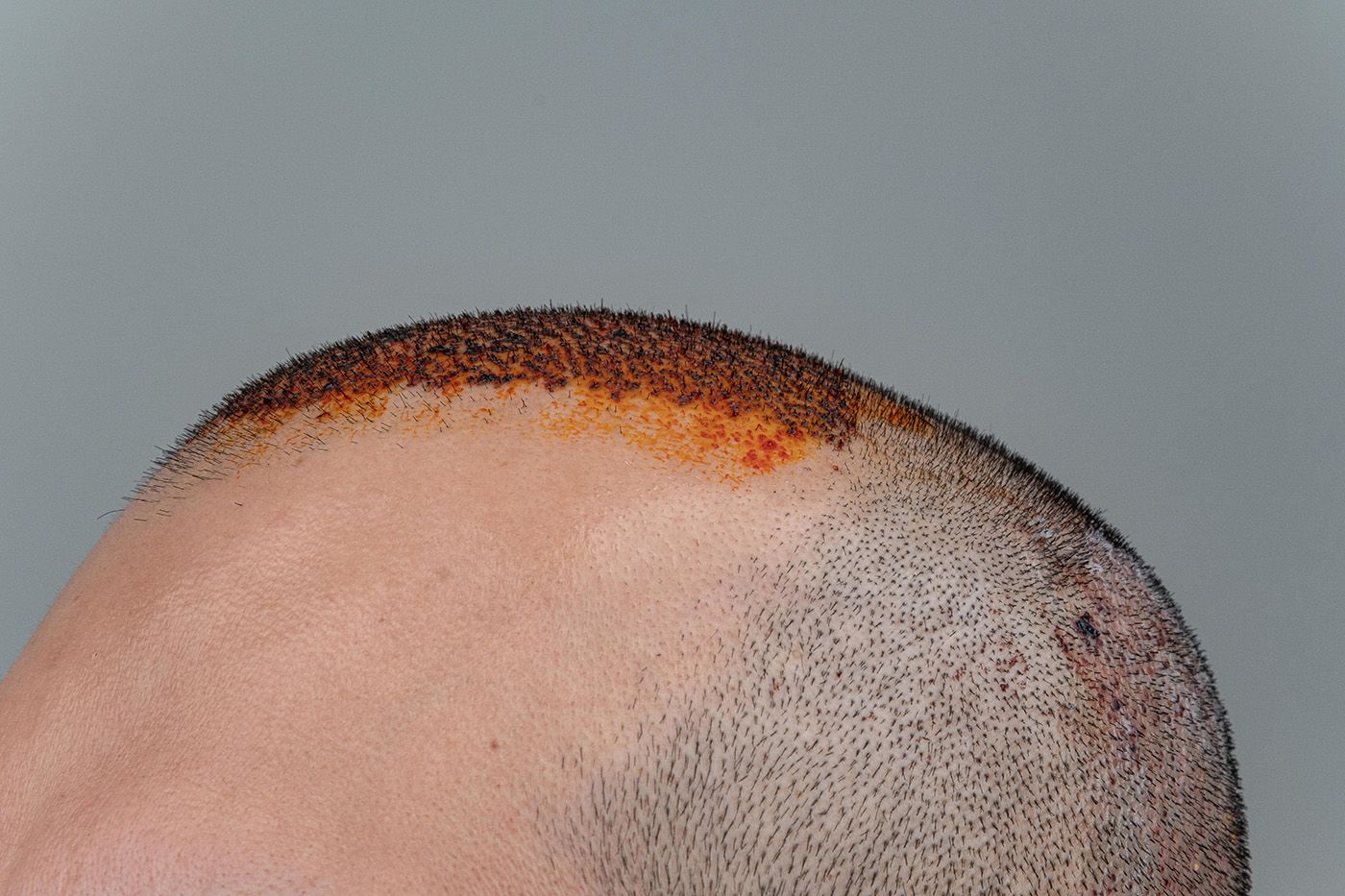 Esvin Alarcón Lam, Paisajes mentales de bambú (Bamboo Mental Landscapes), 2024. Photo: Hazel Kılınç &amp; Deniz Karagül. Courtesy of the artist.