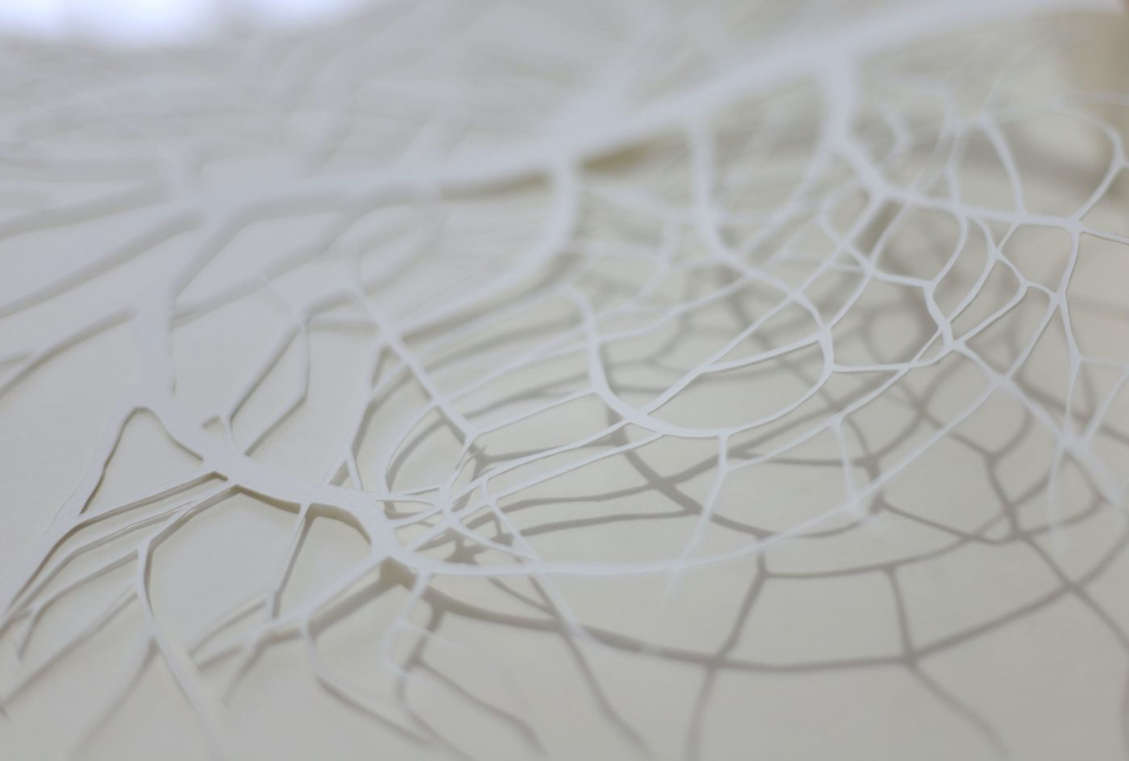 Najah Zarbout: Being at a Crossroads - Contemporary And