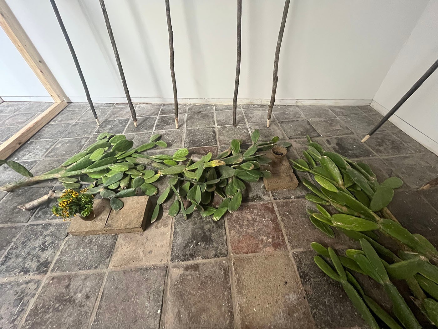 Jorge González, En la luz como ceniza: Las Cabañuelas, December 21, 2022 to February 17, 2023, Instituto de Cultura Puertorriqueña (ICP), San Juan, courtesy of the artist and the Embassy, San Juan. Photo: Raquel Perez-Puig