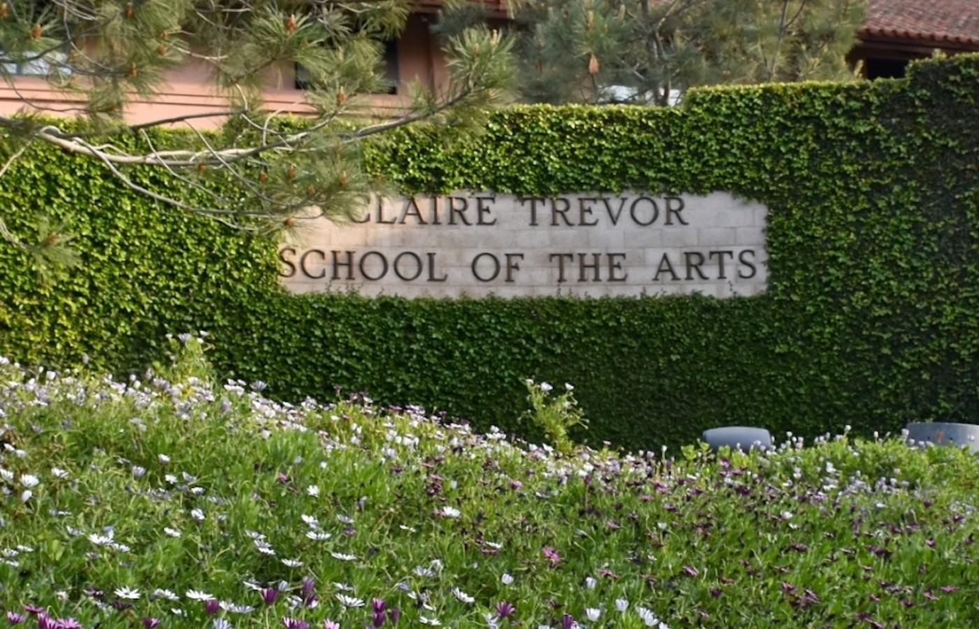 Assistant Professor of Art, affiliated with African American Studies