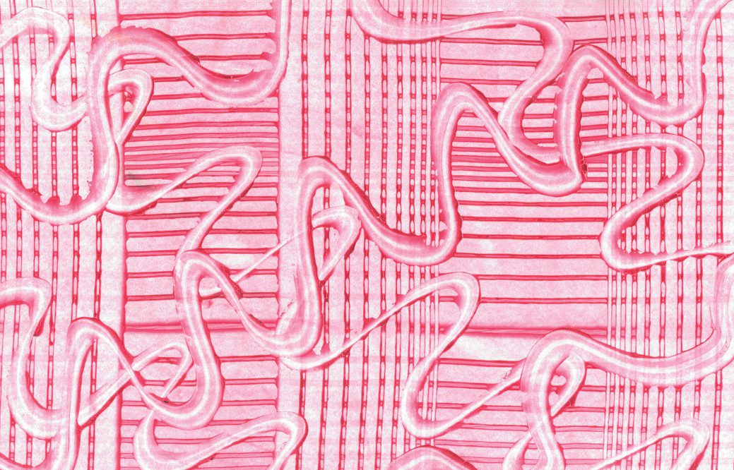 Yto Barrada: Double Skin