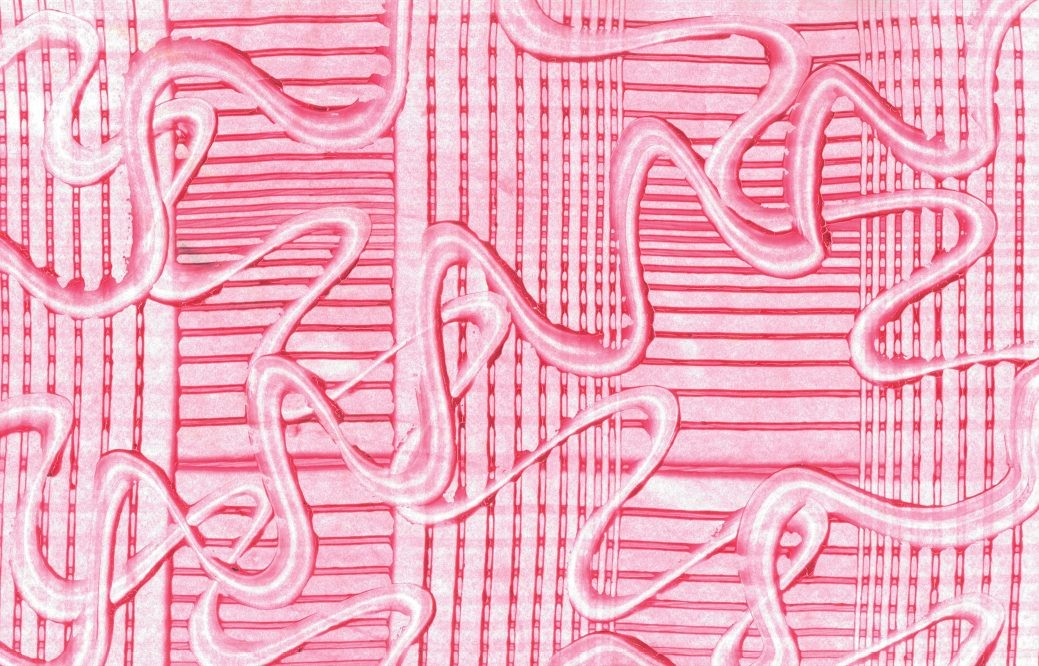 Yto Barrada: Double Skin