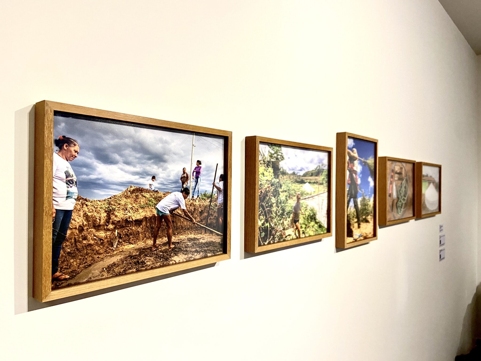 Reflorestar corpos, reencantar territórios