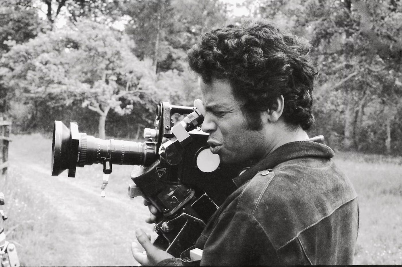 Film & Cinema