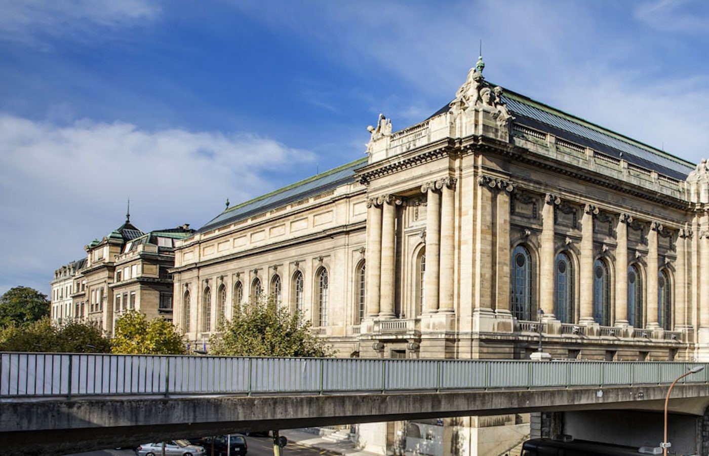 Seeking Curator of Fine Arts