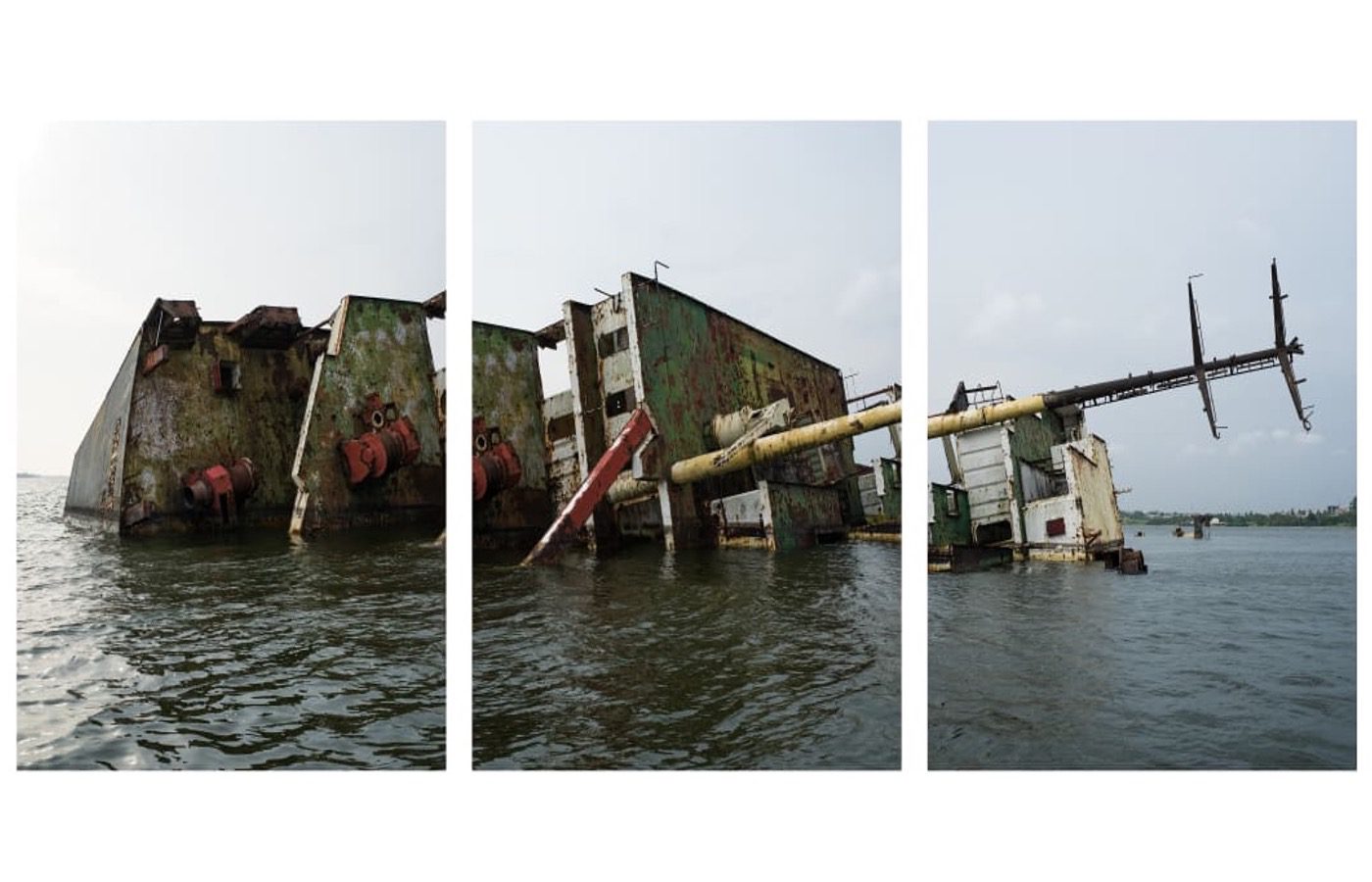 François-Xavier Gbré: La Nage De L’Éléphant