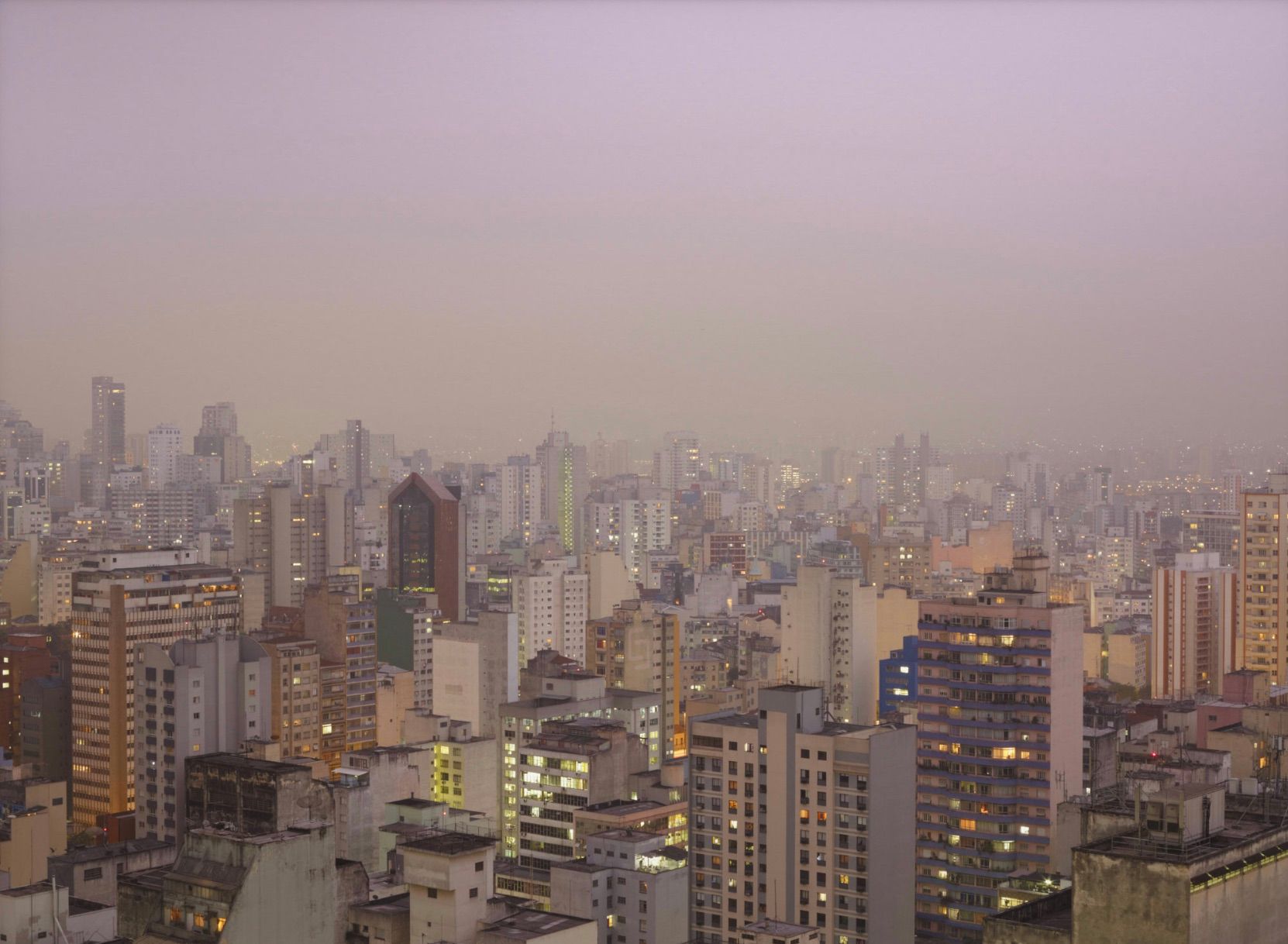 Chosen Memories: Contemporary Latin American Art from the Patricia Phelps de Cisneros Gift and Beyond