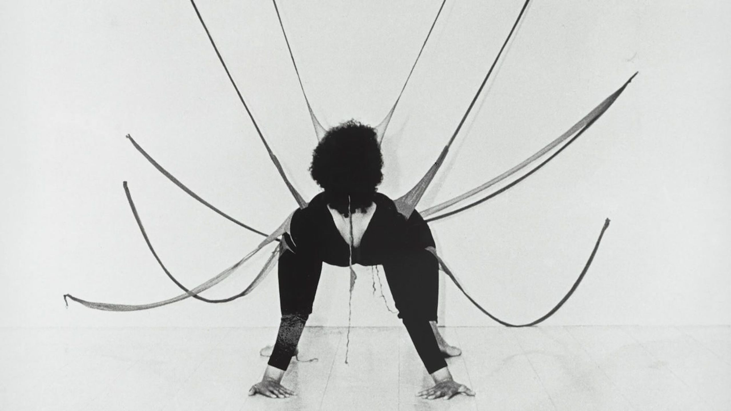 Senga Nengudi: Topologies