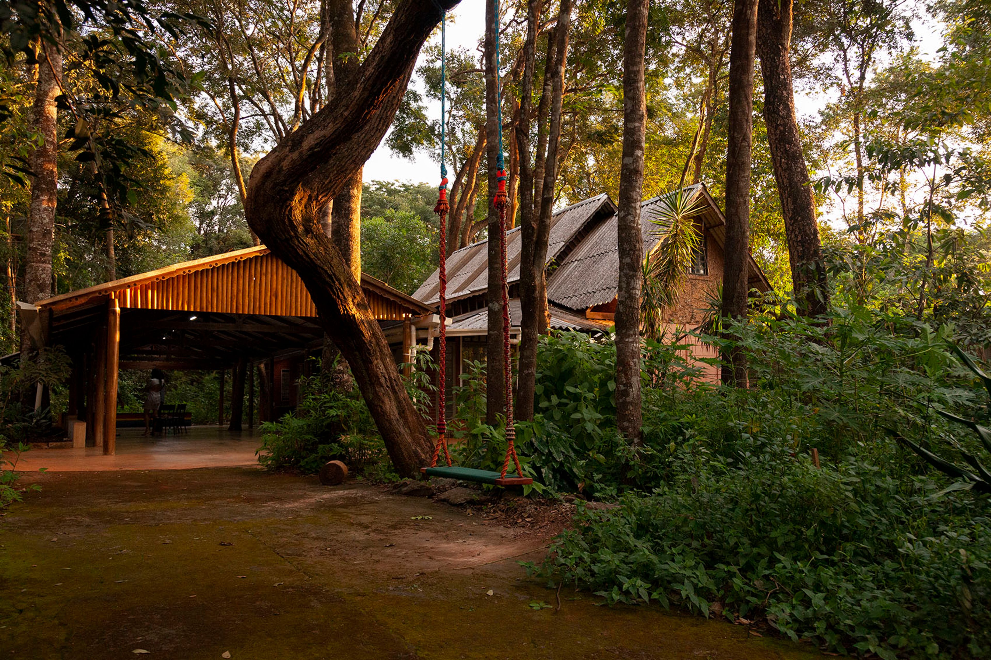 A rustic open pavilion and a cabin in a lush, golden-lit forest, with a colorful swing.