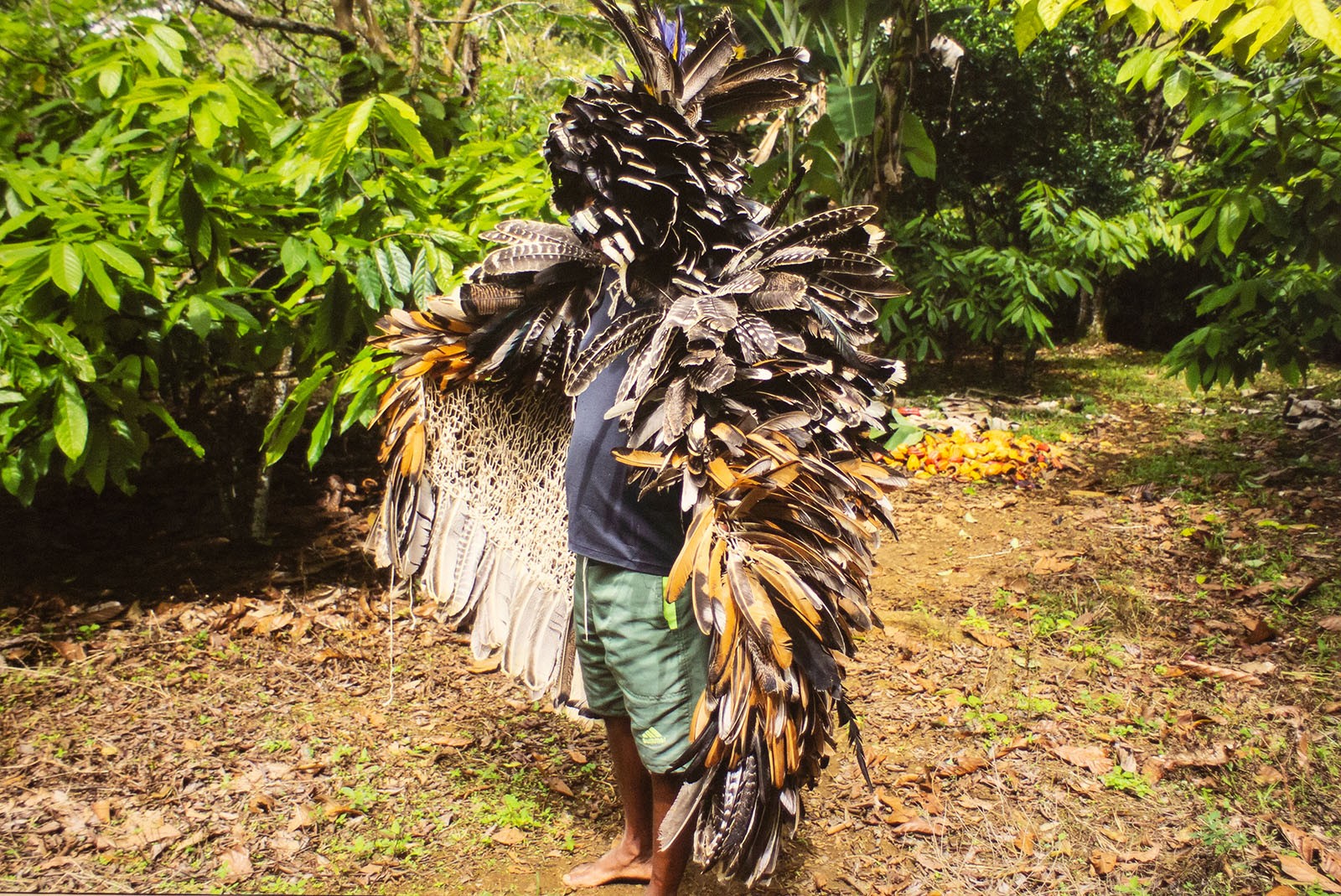 Hãhãwpuá Pavilion: the Community Is More Important Than the Work Itself