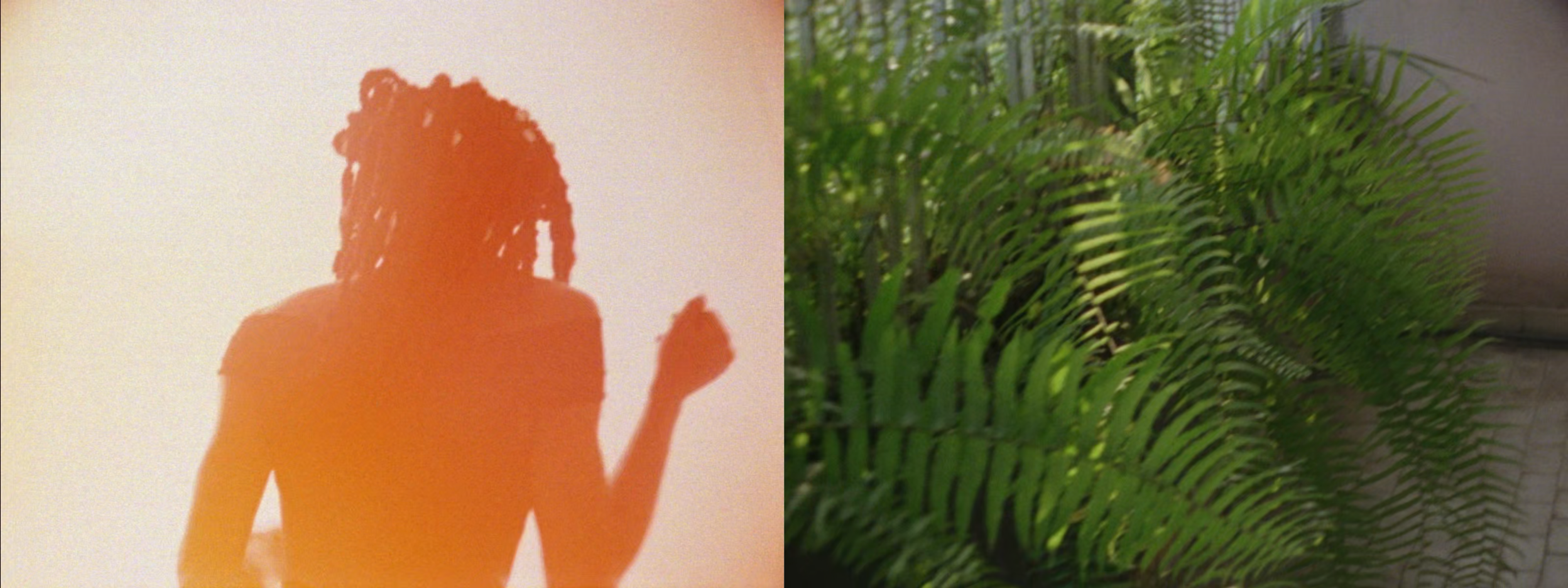 An orange silhouette of a person with dreadlocks next to vibrant green ferns.