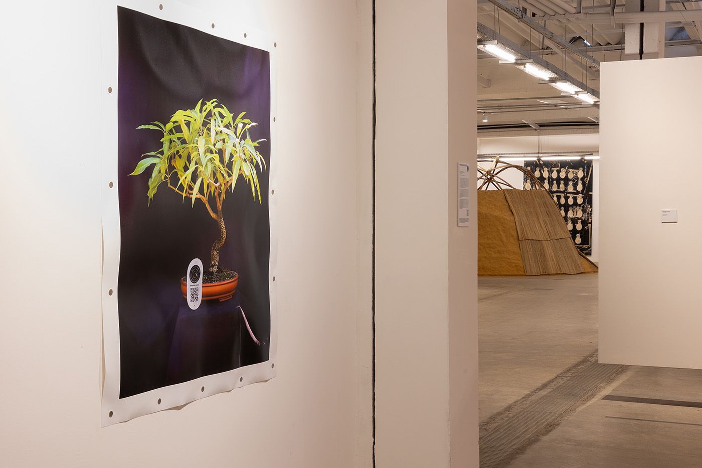 Collection of the 1st Amazon Biennial. Production Assistant: Nayane Menezes. Photo: Chico Atanásio and Lucas Santana/Rede Moinho.