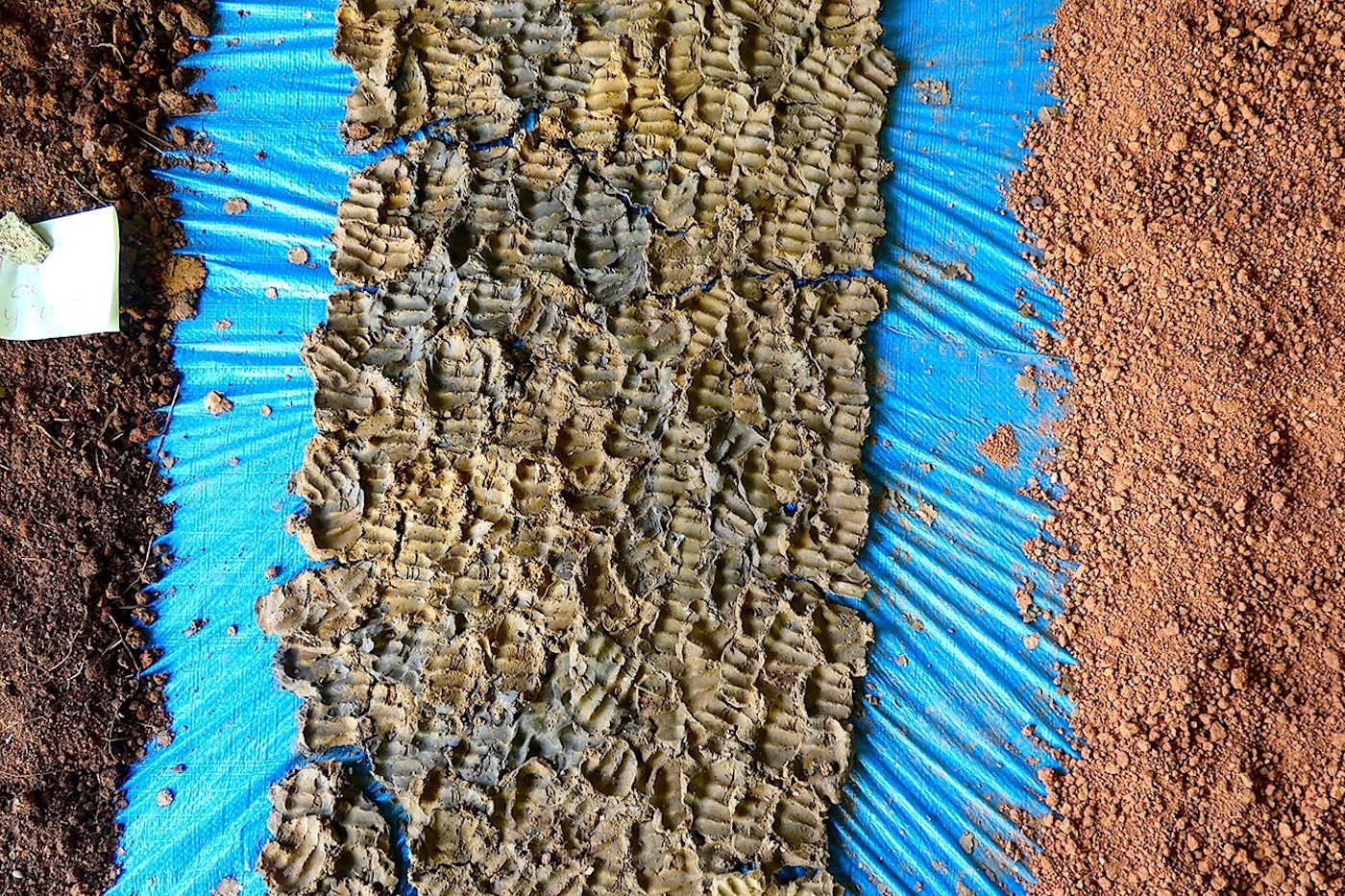 Amara Abdal Figueroa's studies on Puerto Rican earth materials. Photo: Lisa C Soto.