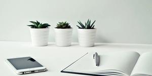 Comment Choisir un Professionnel pour une Consultation en Ligne