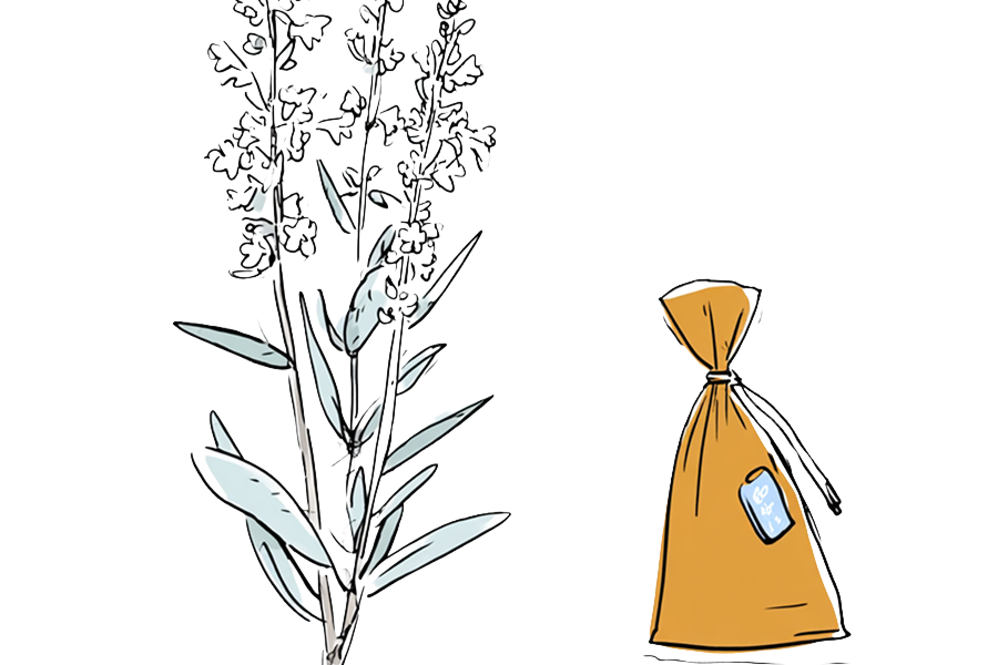 Sketch of light green plant + white flowers next to brown medicine bag