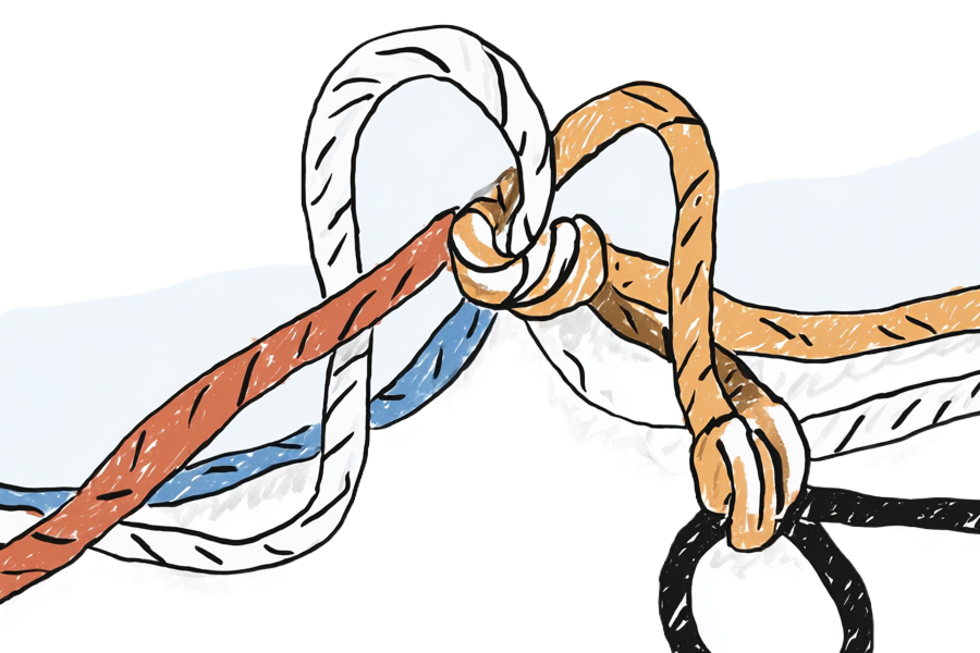 Sketch of many ropes tied into one knot
