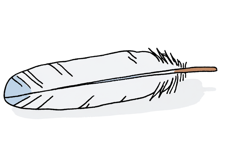 Sketch of a white feather with blue tip