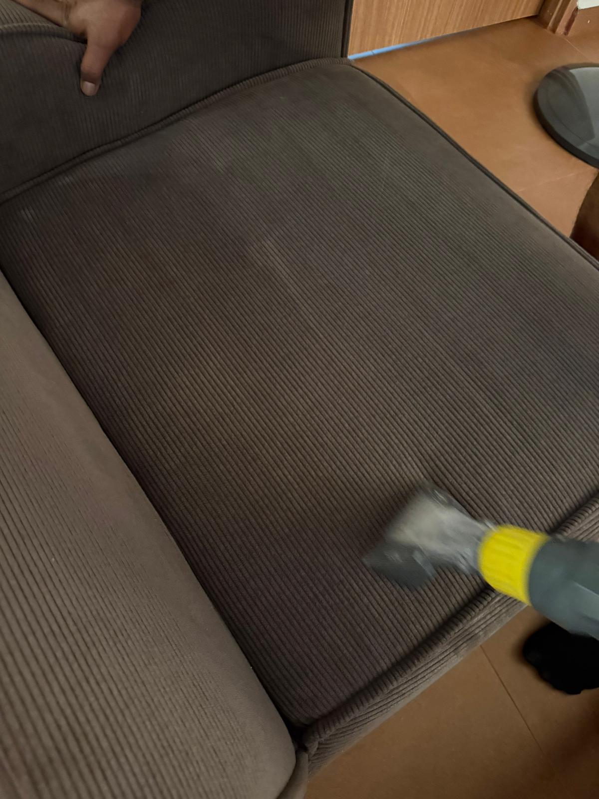 sofa deep clean