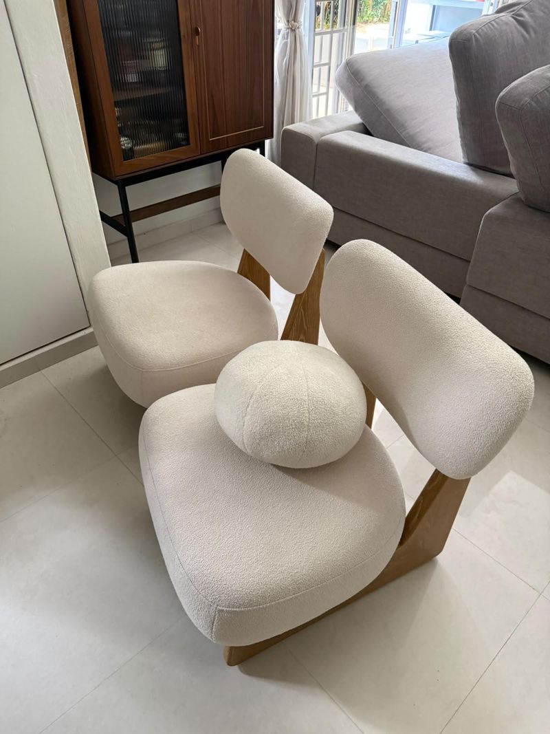 fluffy chairs that were due for deep cleaning