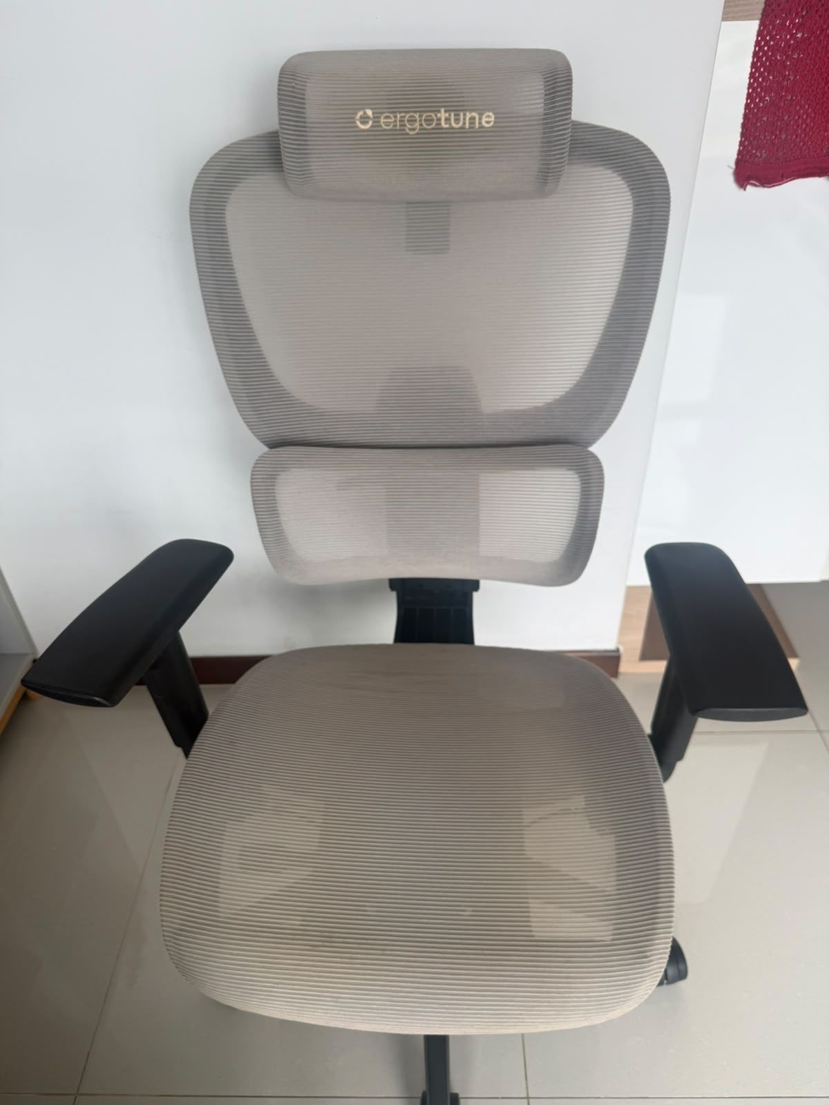 gray Ergotune offcice chair before