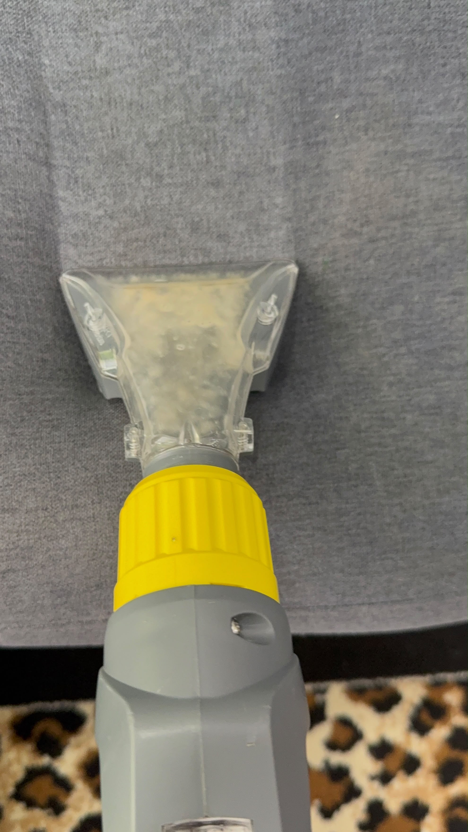 sofa deep clean