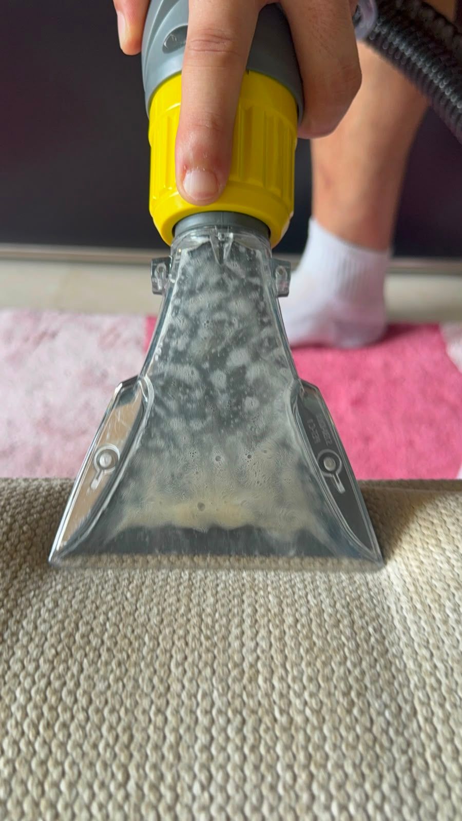 sofa cleaning