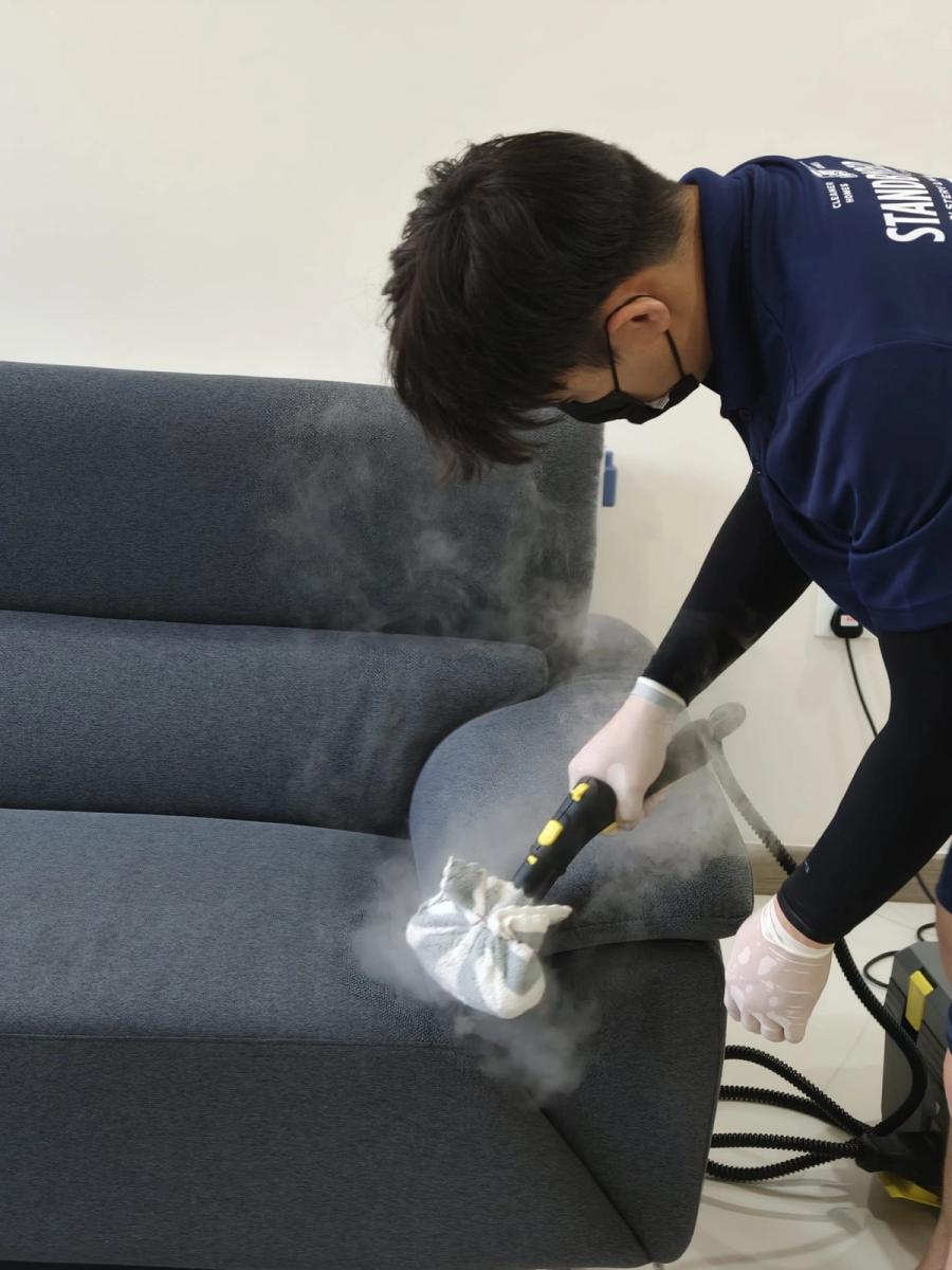 Sofa deep cleaning