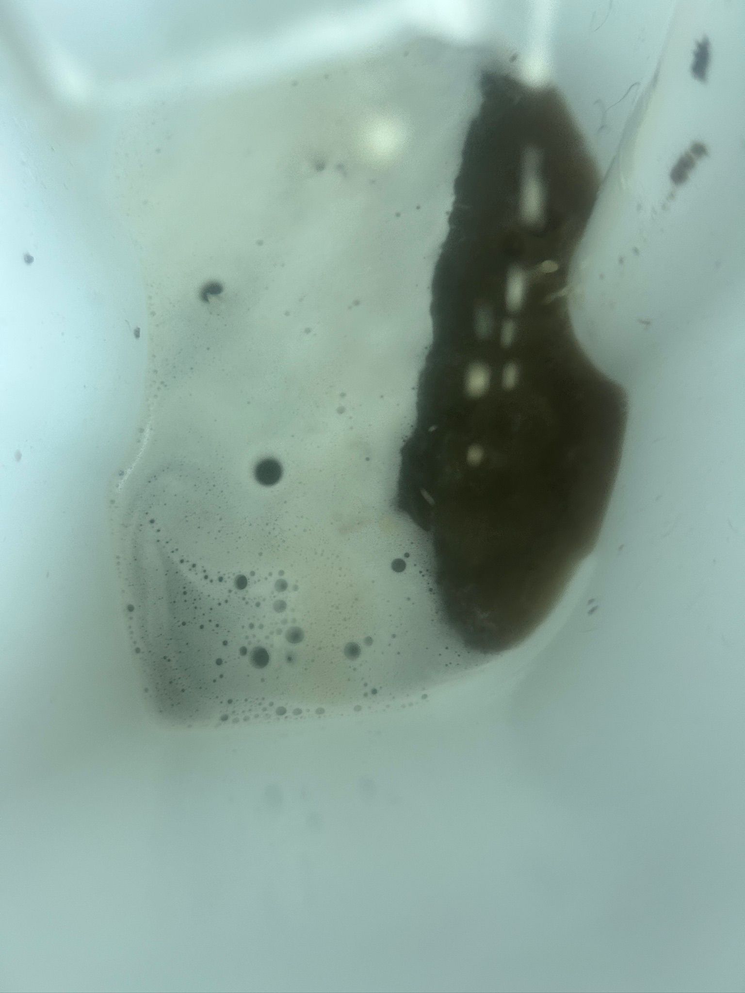 dirty water tank