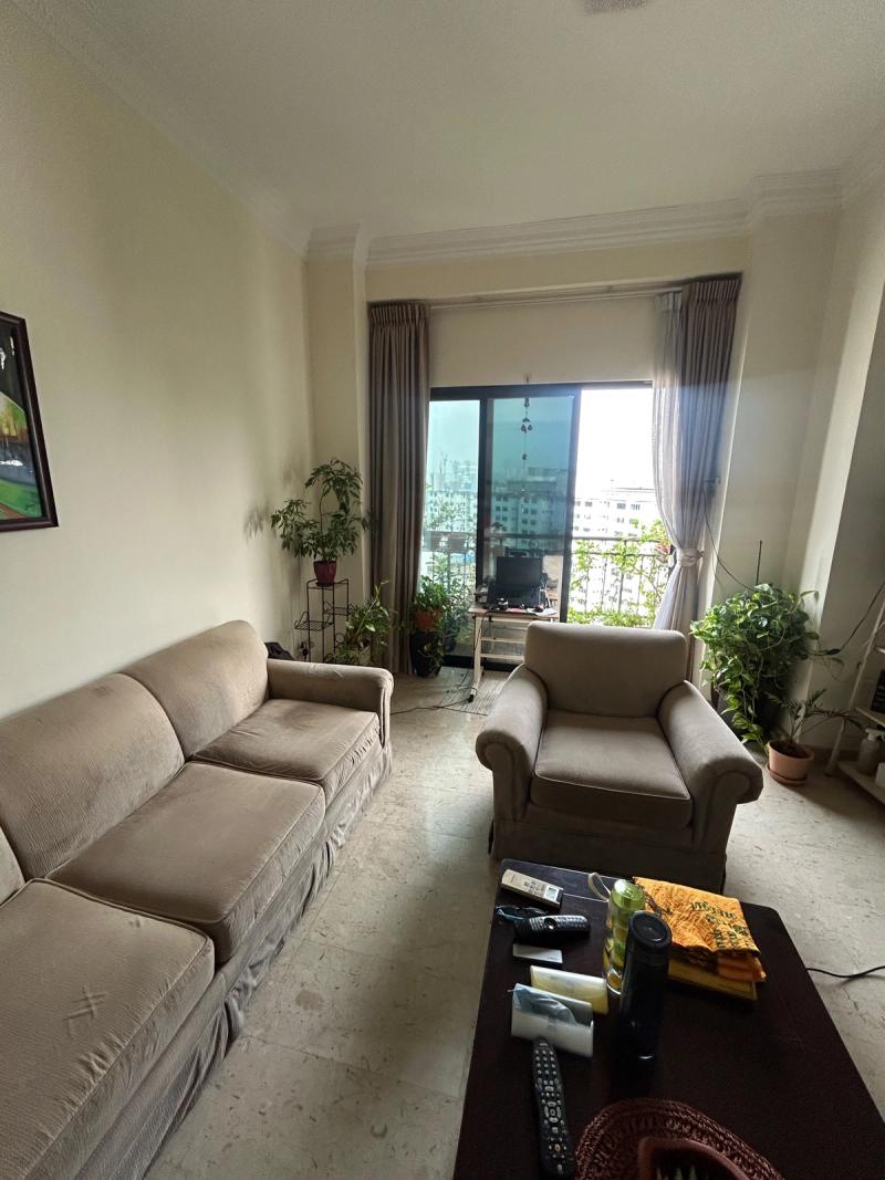 sofa and armchair due for deep clean