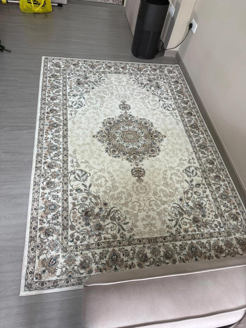 rug before deep cleaning