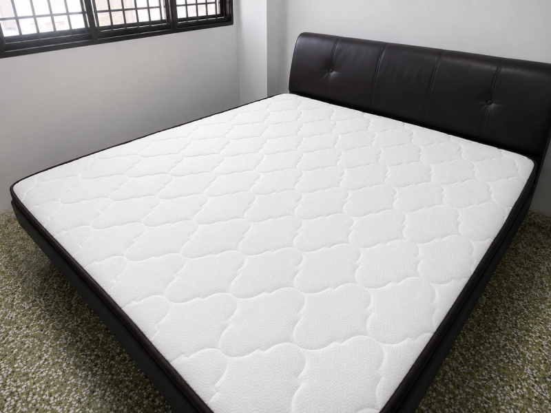 Sofa & Mattress Deep Clean — Geylang Bahru HDB