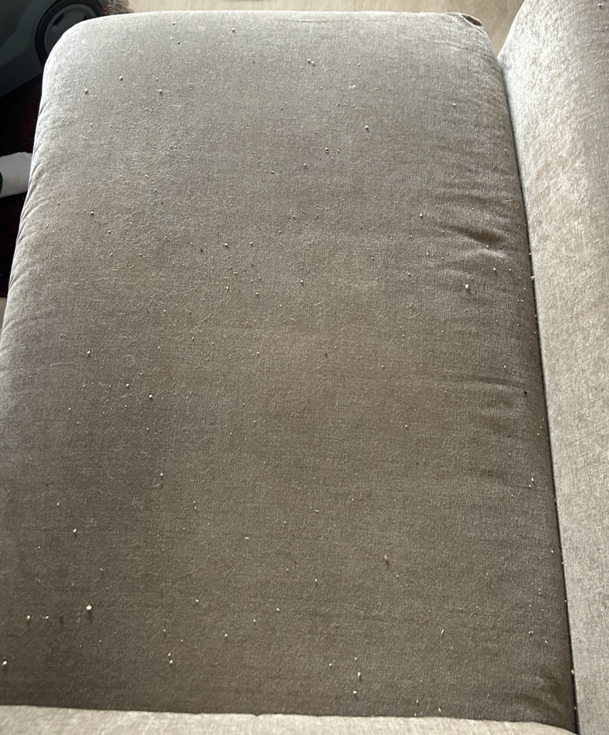 sofa grime