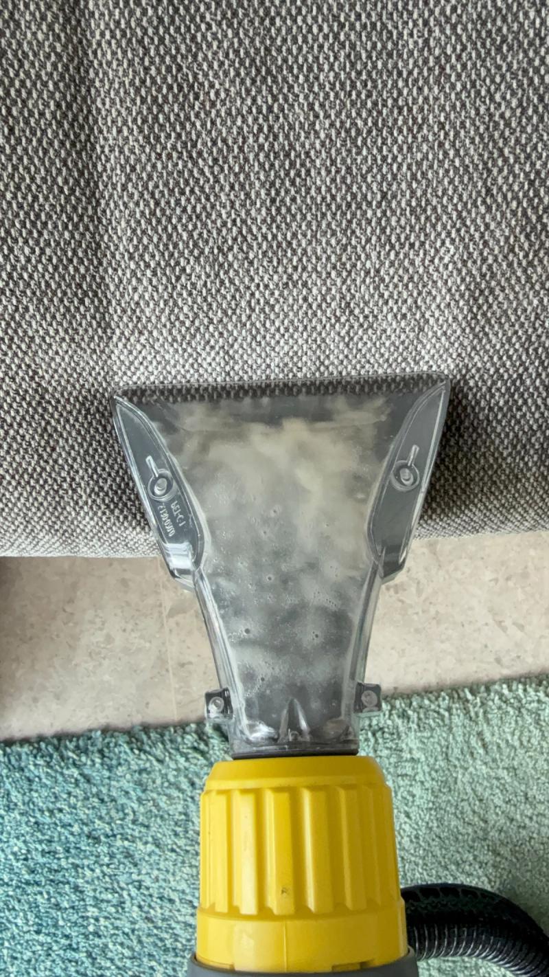sofa during deep clean