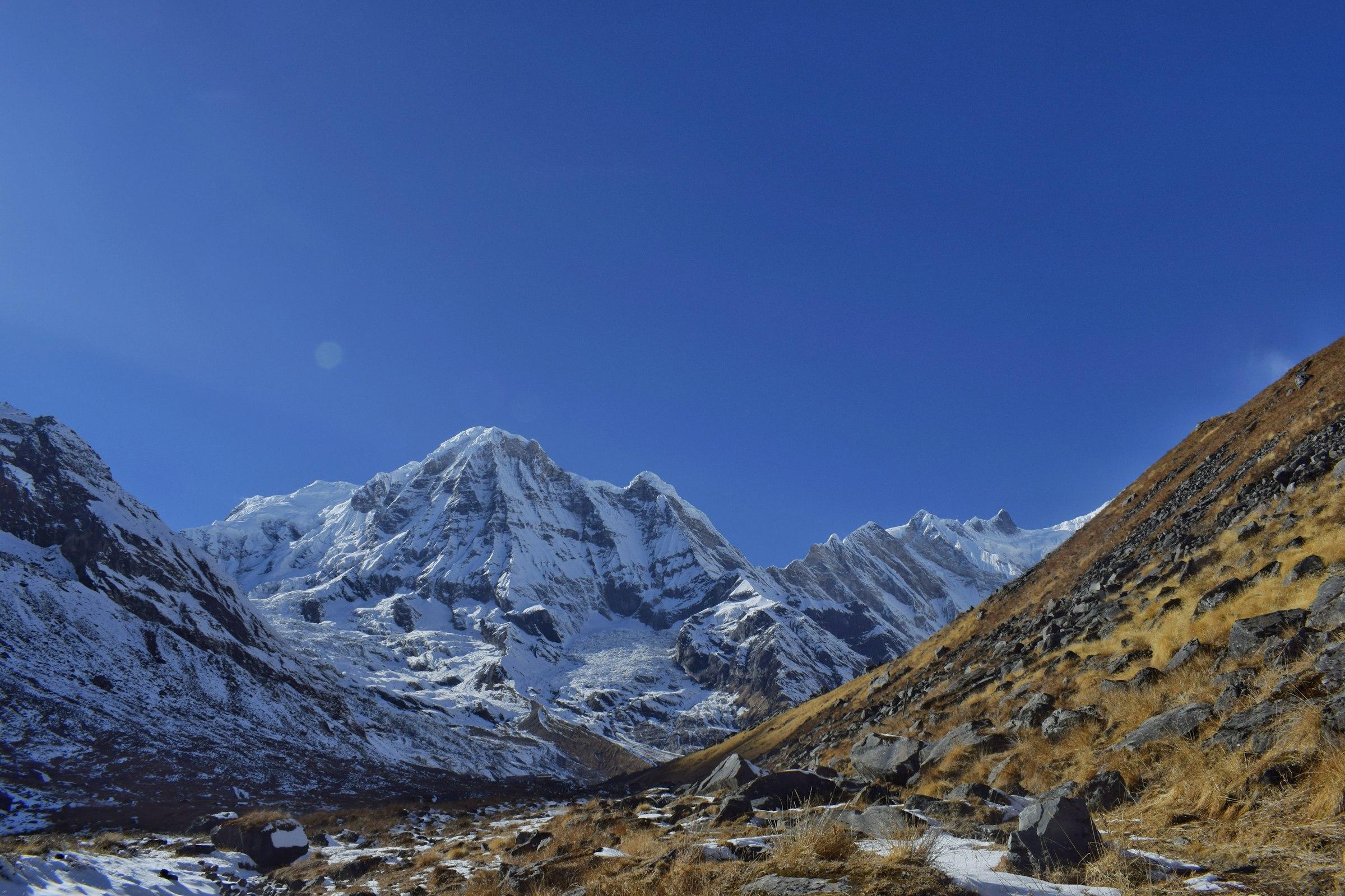 A snow-covered Annapurna massif seen up a rocky valley with golden dry grass on the slope under a clear blue sky.