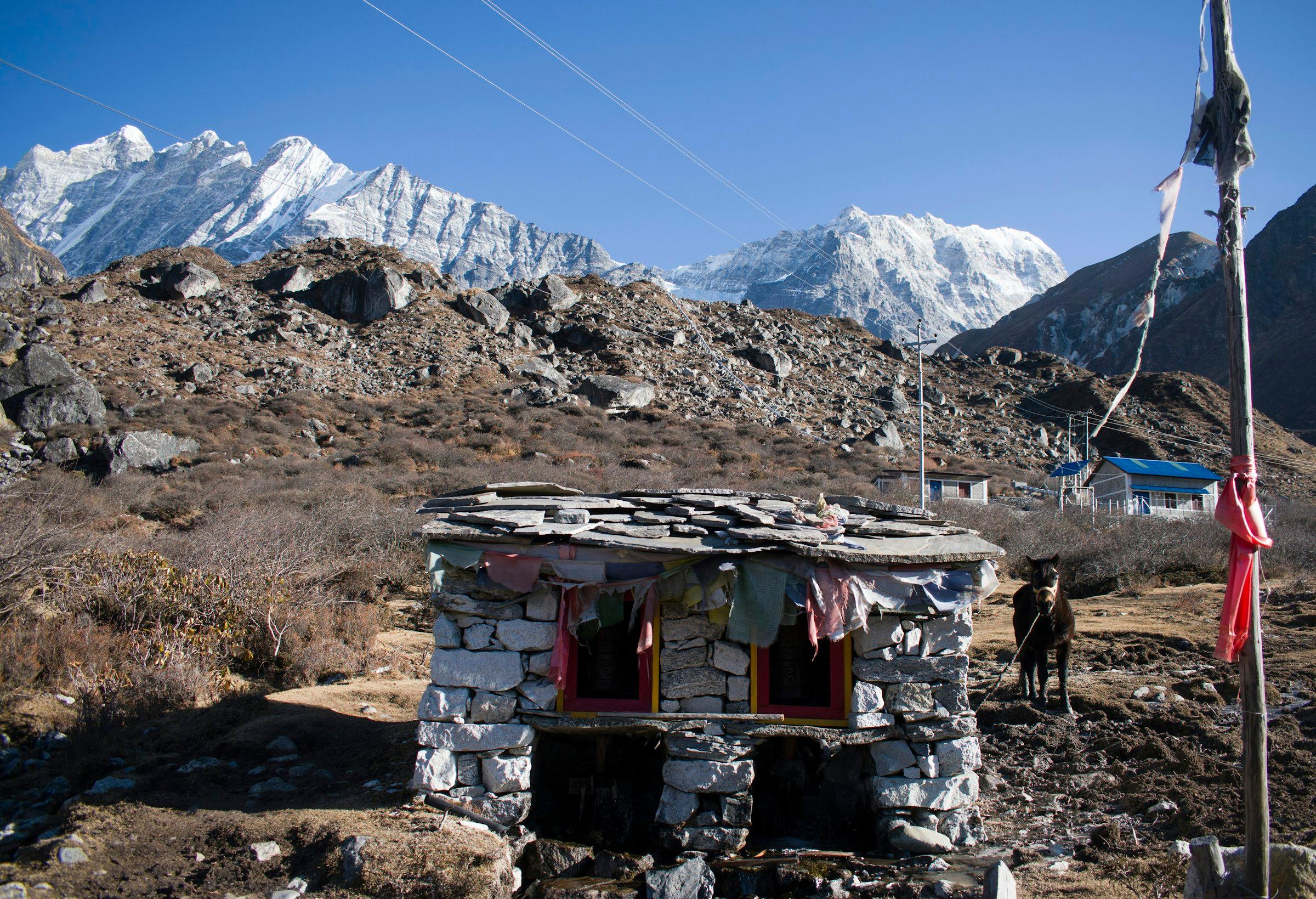 A small stone shelter hung with cloth stands on a rocky valley floor near a horse, with snowy Langtang peaks behind.