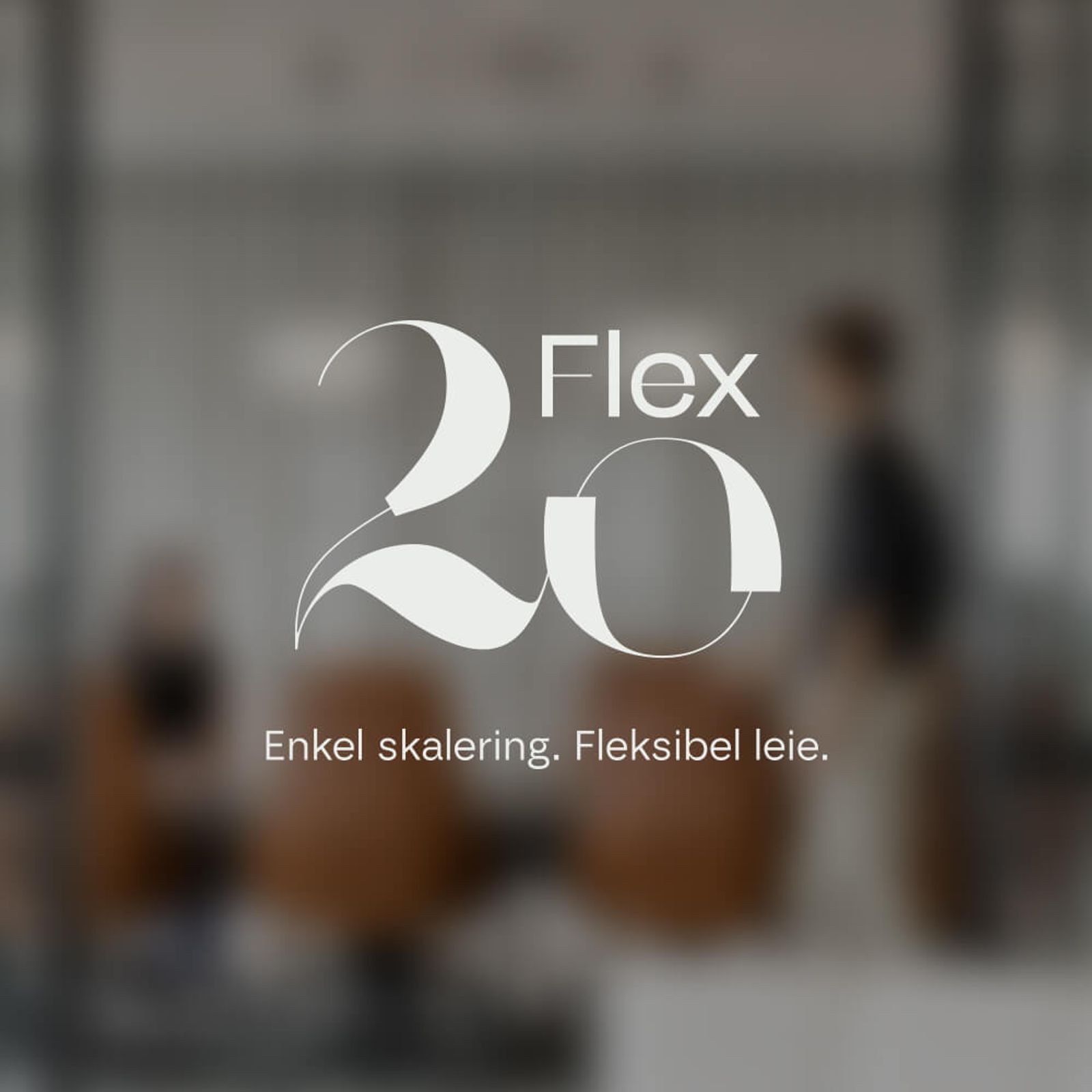 flex-20-img