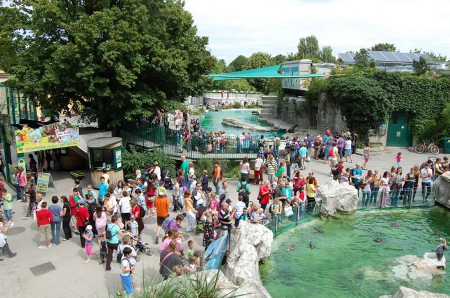 Austria - tabăra internațională de limbă germană/engleză