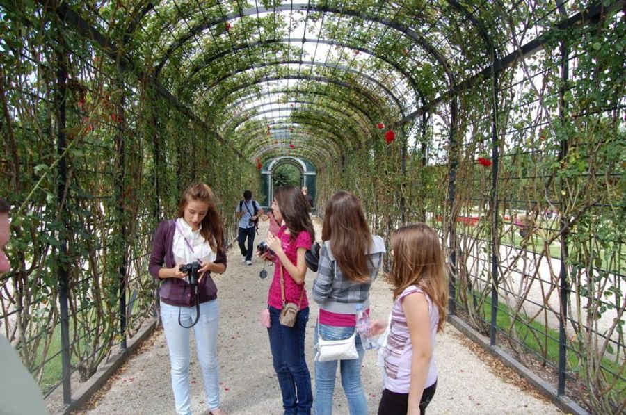 Galerie