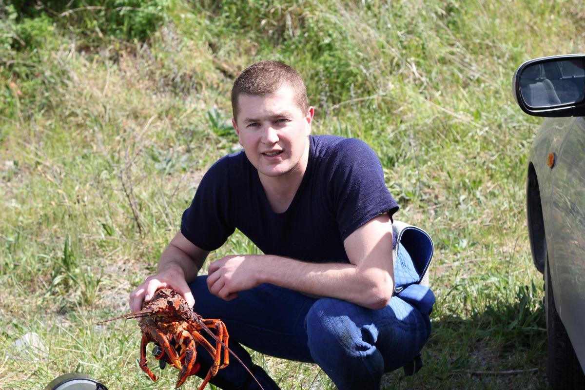 crayfish