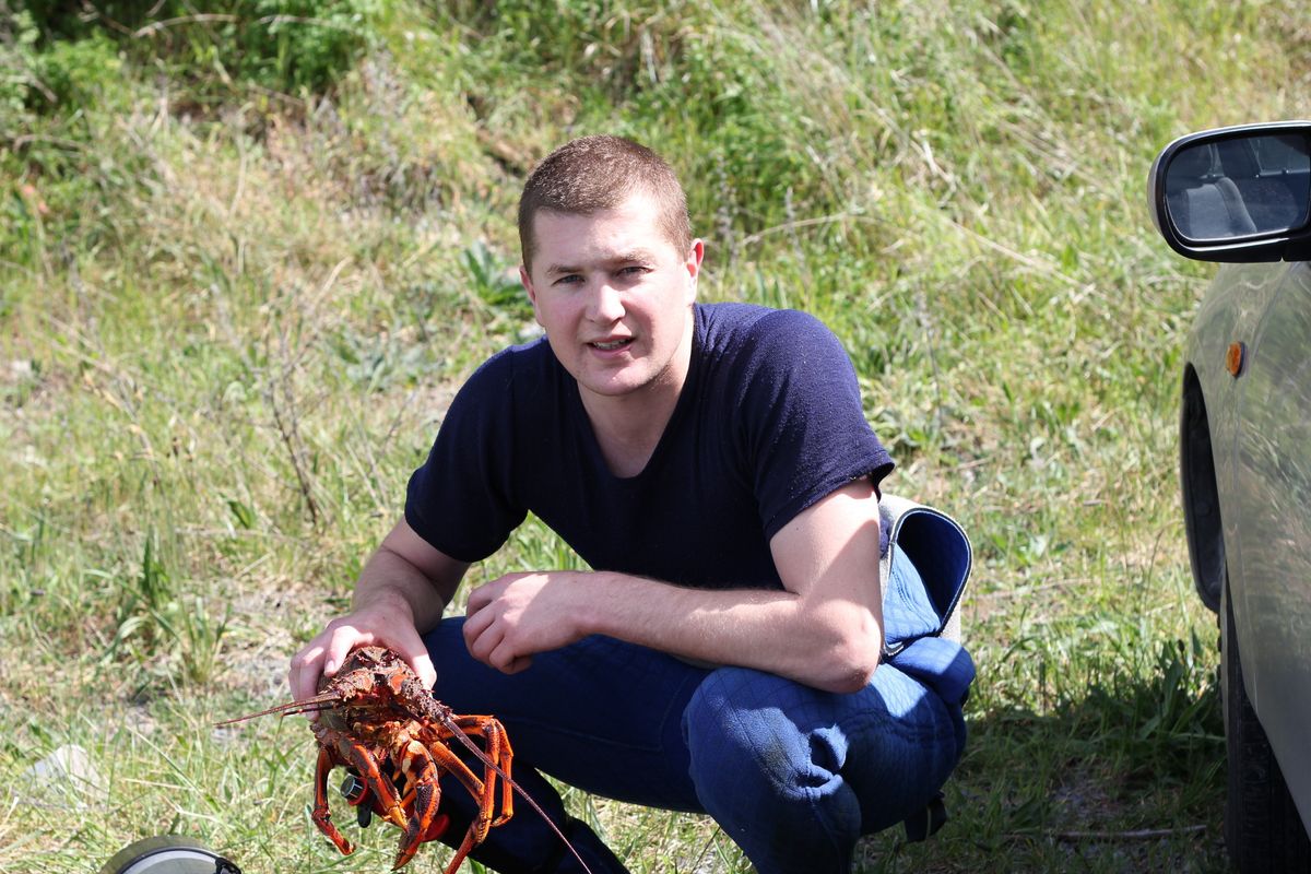crayfish