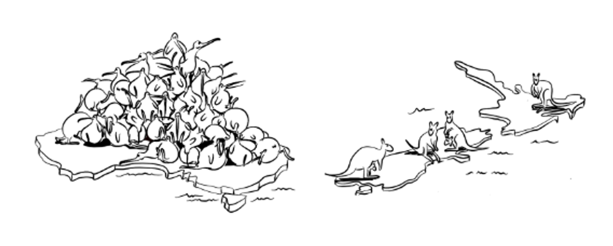 Map of NZ and Australia with animals