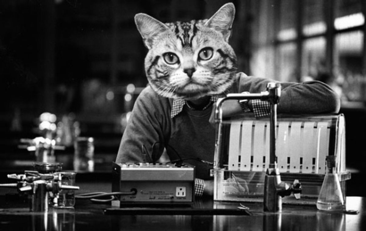 Black and white image of a man with a cats head in a science class 