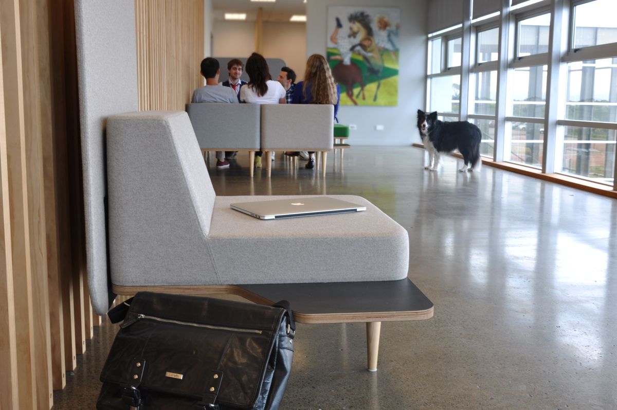 Laptop on chair, dog to right, people in background