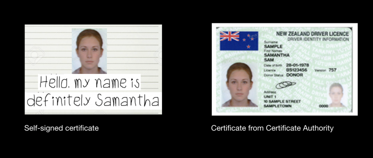 Side-by-side photo and driver licence comparison