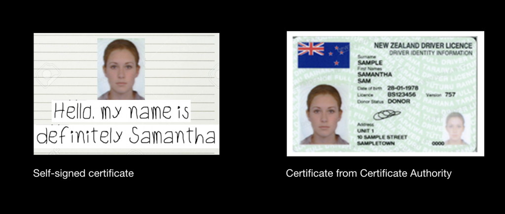 Side-by-side photo and driver licence comparison