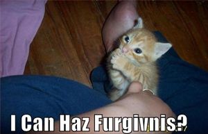Meme of kitten with paws together: “I can haz furgivnis?”